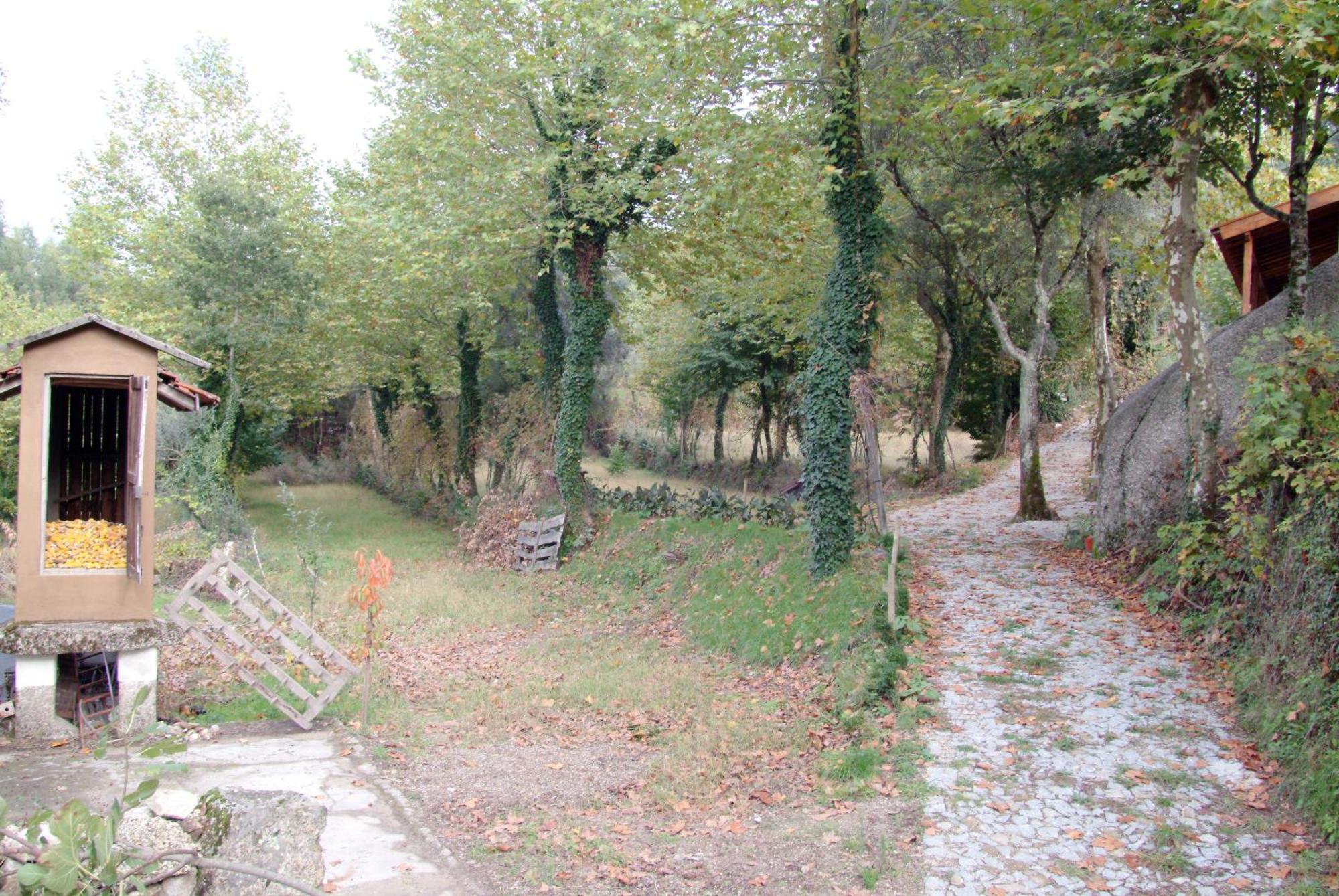 Quinta Da Veiga E Malhadoira Guest House Vieira do Minho Exterior foto